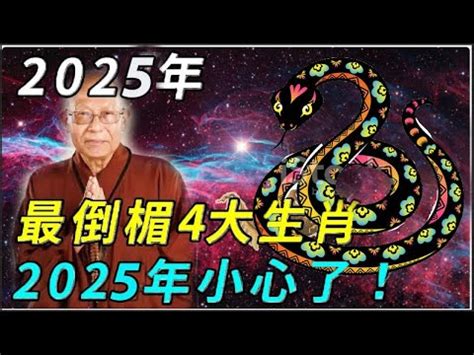 2025是什麼生肖